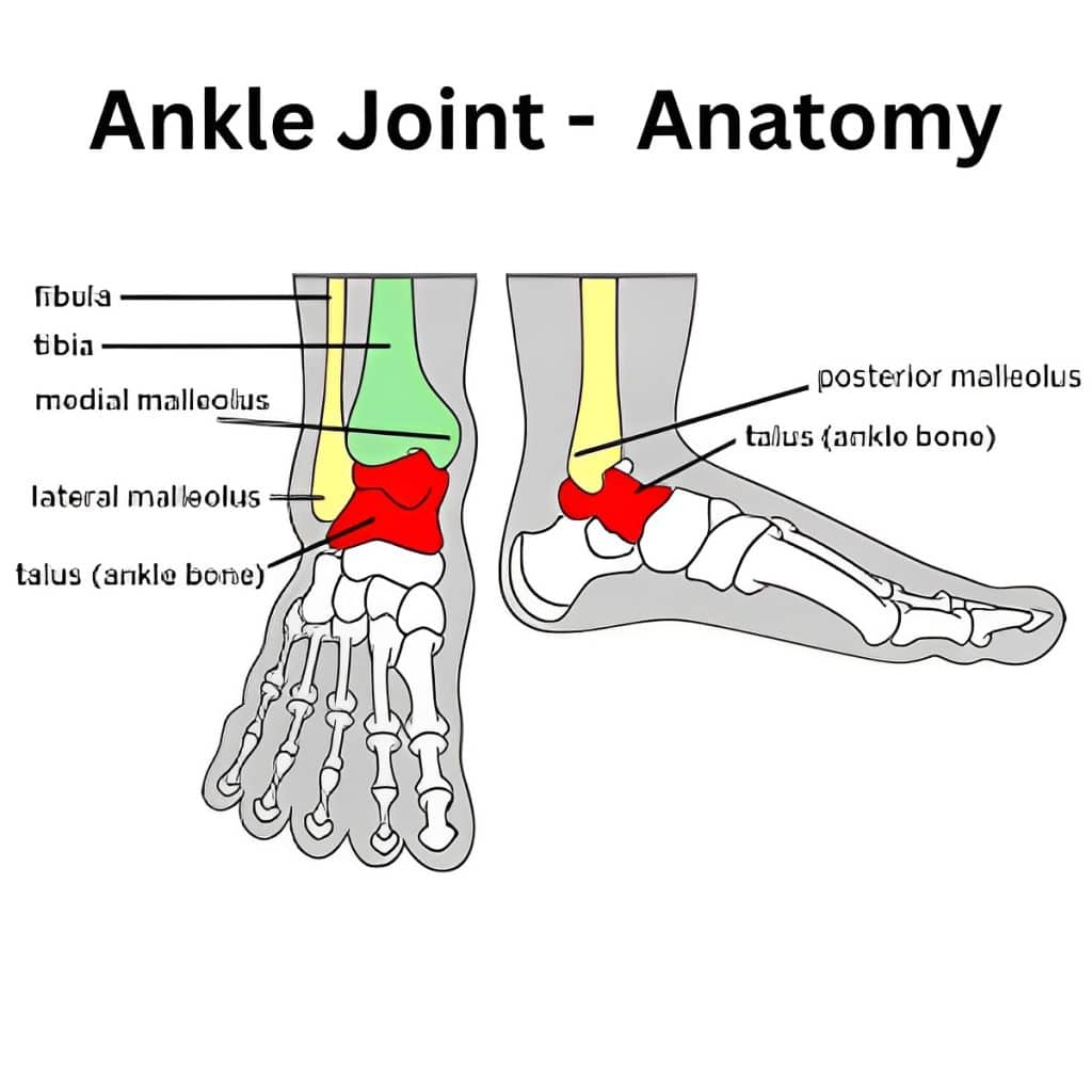 Ottawa Ankle Rules Everything You Need to Know