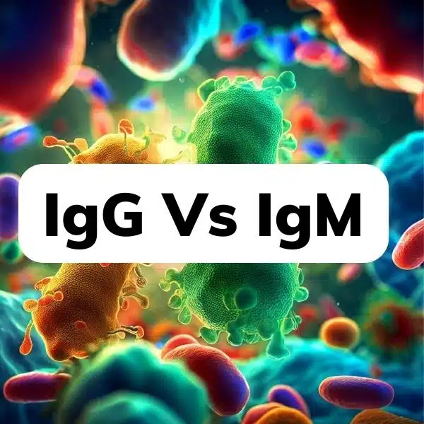 IgG Vs IgM