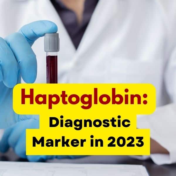 Haptoglobin