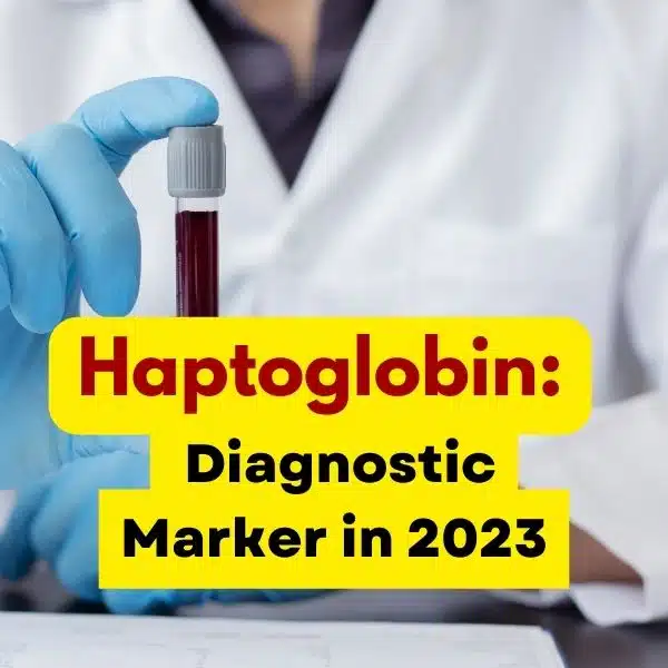 Haptoglobin