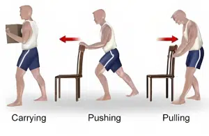 Carrying-Pushing-Pulling-Body Mechanics