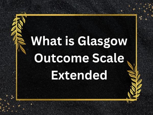 Glasgow Outcome Scale Extended