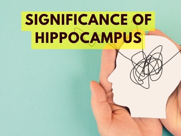 Significance of Hippocampus